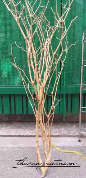 Cây gỗ trang trí