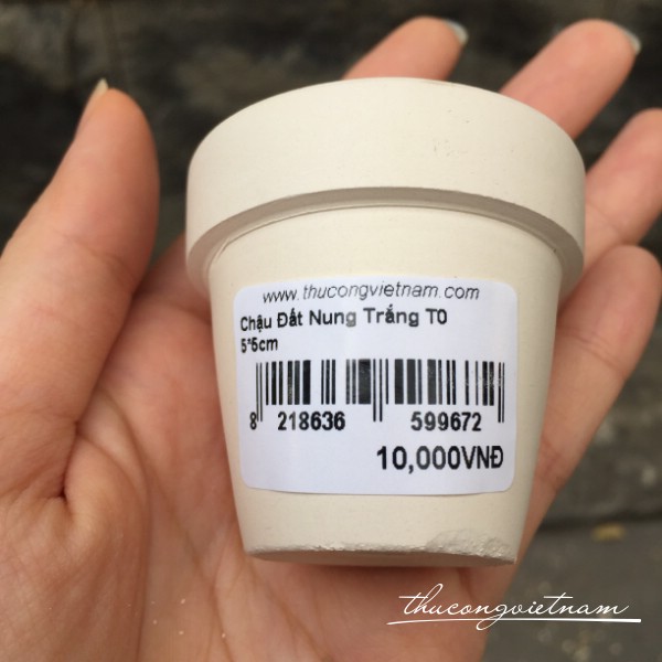 Chấu đất nung trắng T0 5x5cm