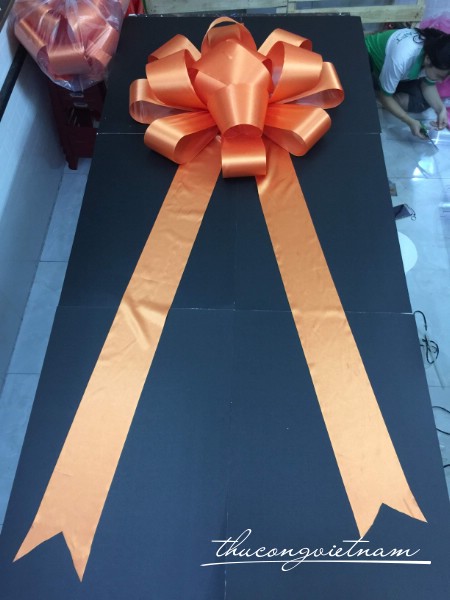Nơ xe hơi mẫu 22