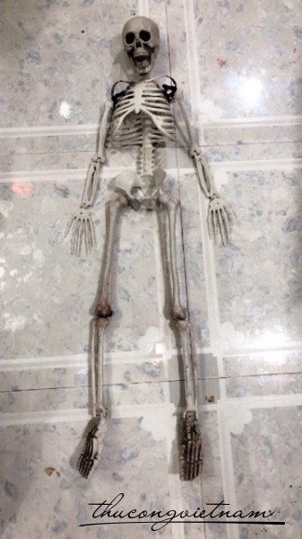Bộ xương trang trí Halloween 90cm