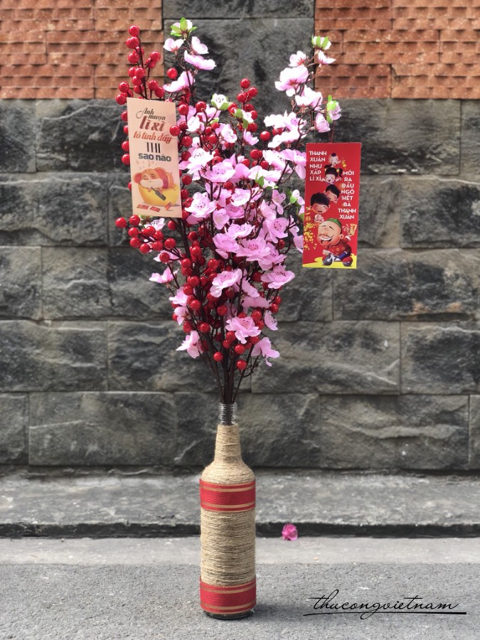 Lọ cây Đông Đào - hoa Đào