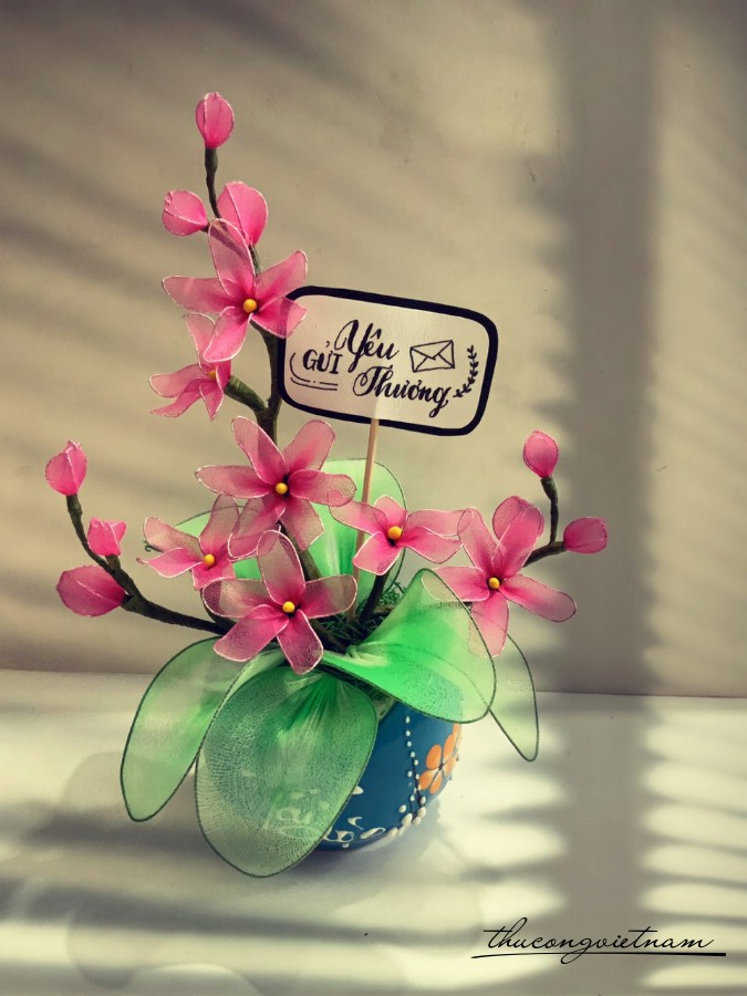 Chậu hoa voan mẫu 1