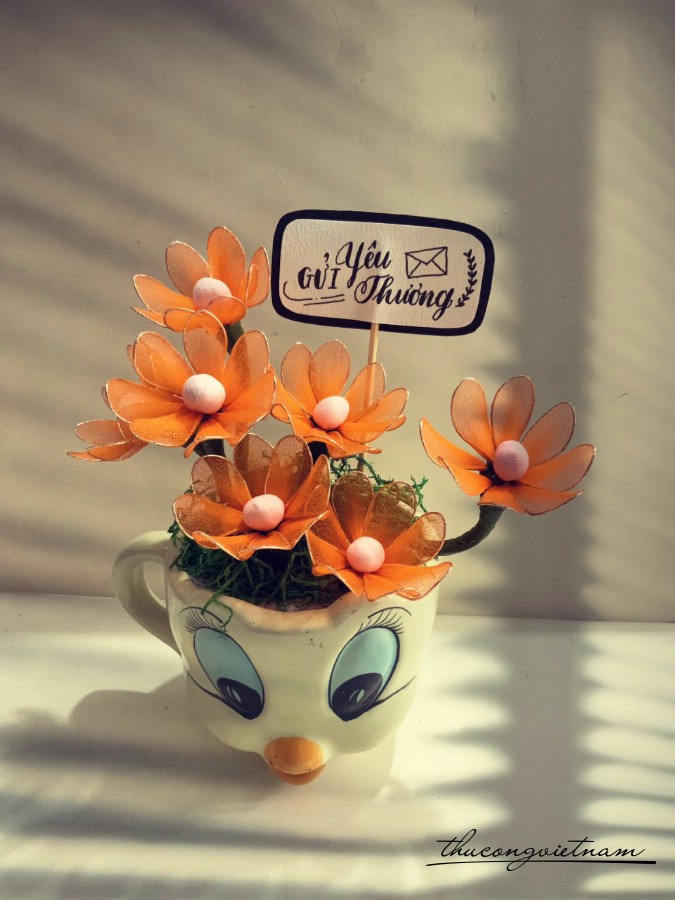 Chậu hoa voan mẫu 4