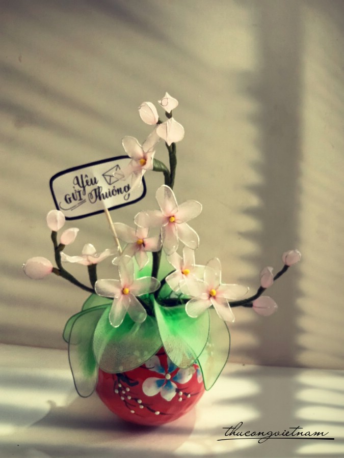 Chậu hoa voan mẫu 6