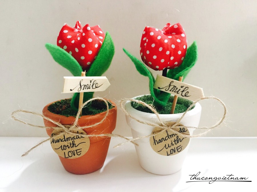 Chậu hoa Tulip nhỏ tone đỏ