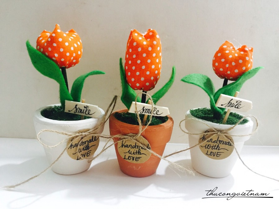 Chậu hoa Tulip nhỏ tone cam