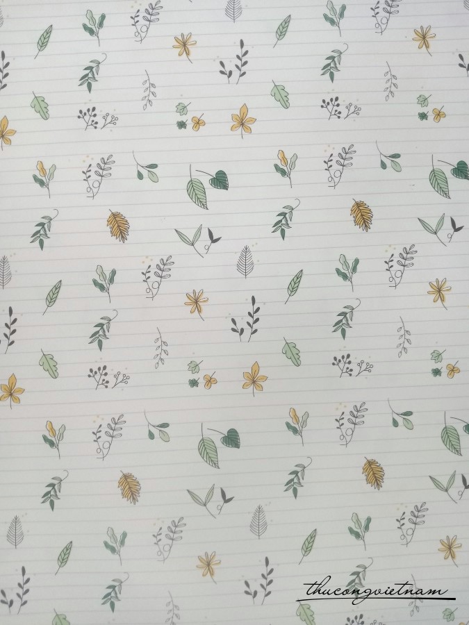 Giấy gói quà Couche - C48