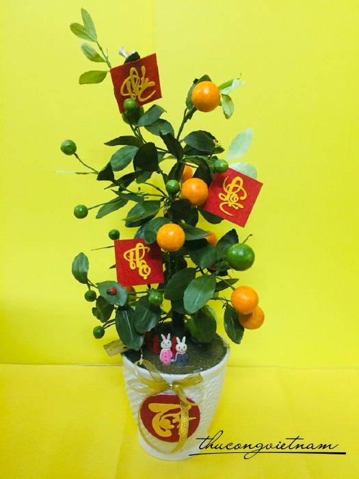 Chậu cây quất Handmade