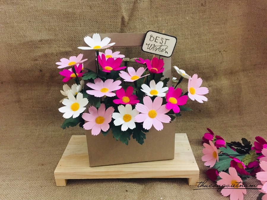 Giỏ hoa sao nhái đa sắc (14*22cm)