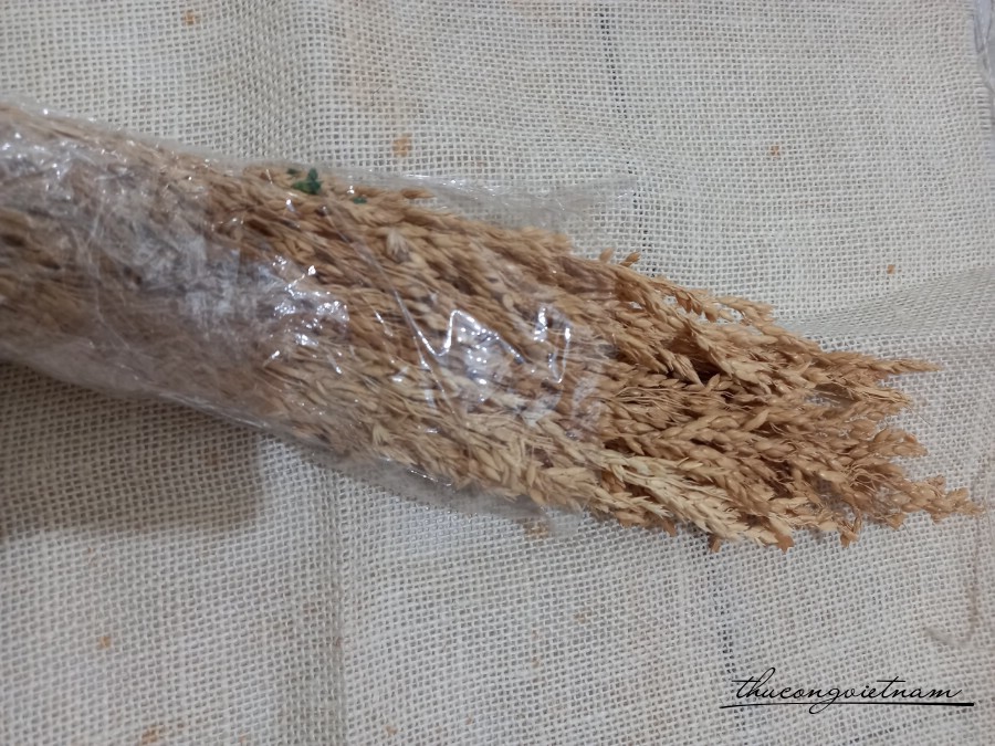 Cỏ khô lúa mì màu vàng