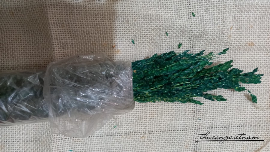 Cỏ khô lúa mì màu xanh