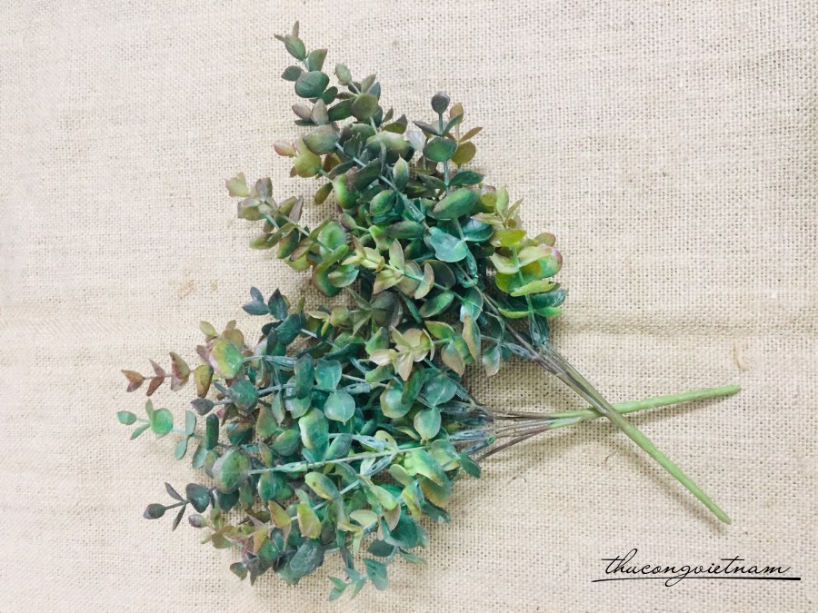Chùm lá táo 5 nhánh mẫu 2 - 13cm
