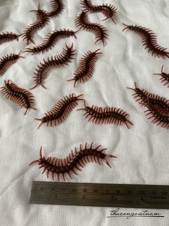 Mô hình Rết 7cm