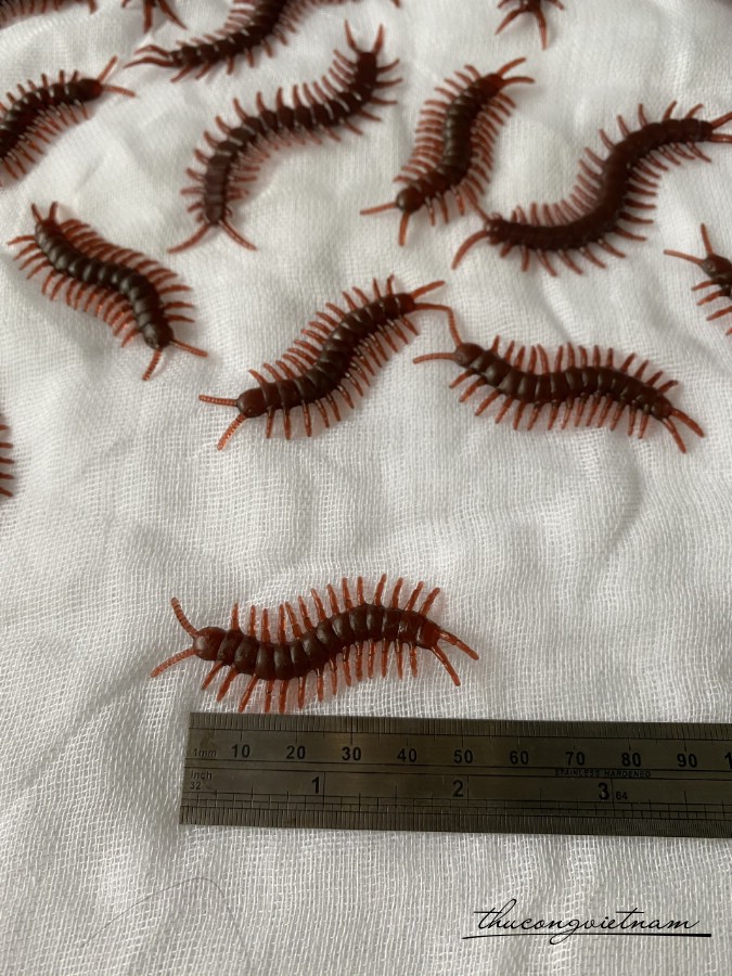 Mô hình Rết 5cm (5 con)