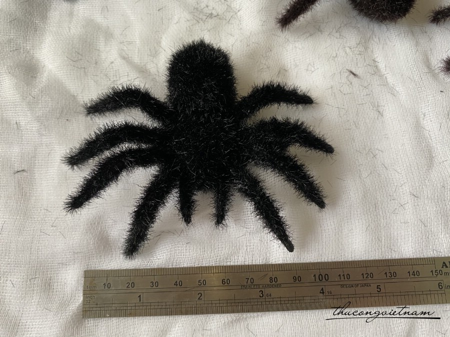 Nhện lông 11cm màu đen