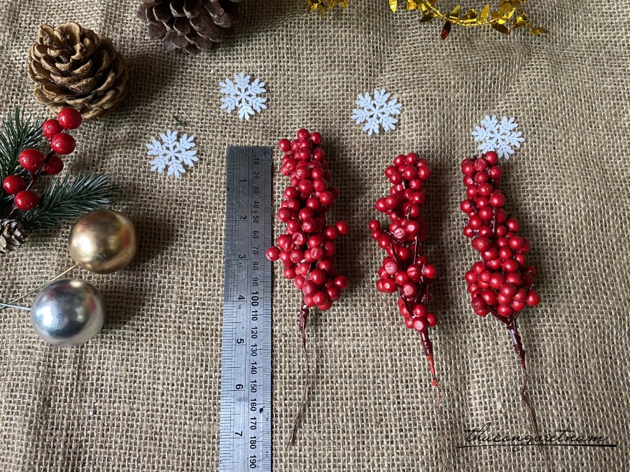 Cành cherry 15cm
