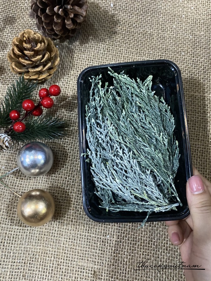 Lá cỏ khô phủ tuyết