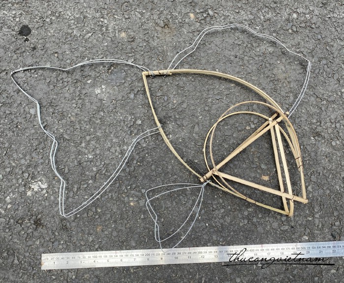 Khung tre lồng đèn - Cá đại mẫu 1 (40-50cm)