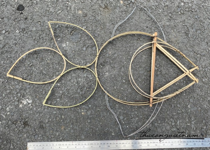 Khung tre lồng đèn - Cá đại mẫu 3 (40-50cm)