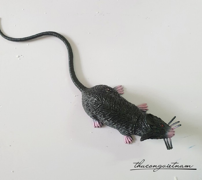 Mô hình Chuột 20cm 