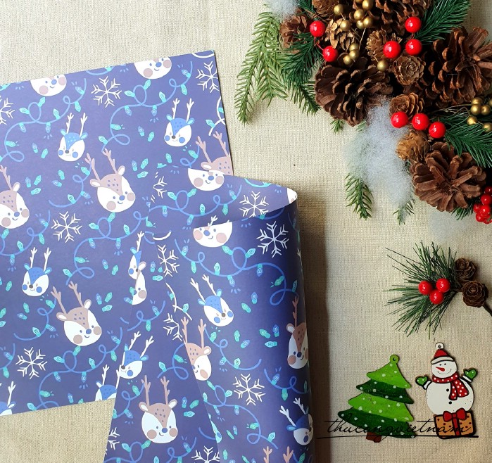 Giấy nền Giáng Sinh in hai mặt 30*30cm - M20
