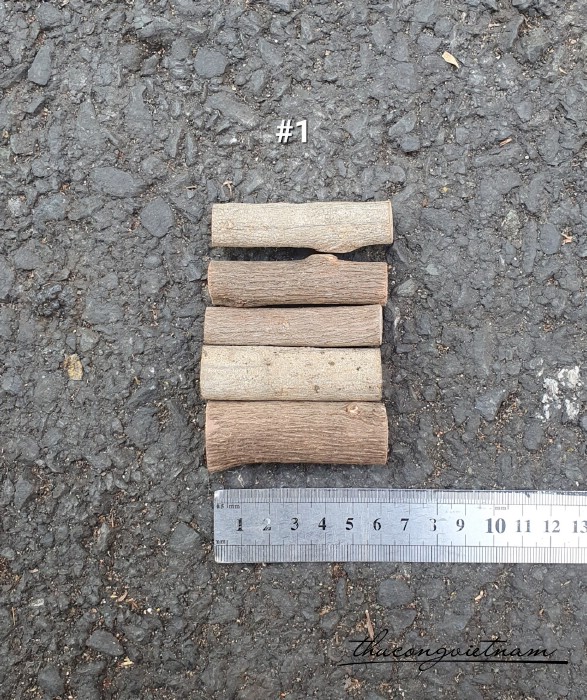 Nhành gỗ tự nhiên 6cm (5 cây)