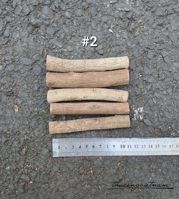 Nhành gỗ tự nhiên 11cm (5 cây)