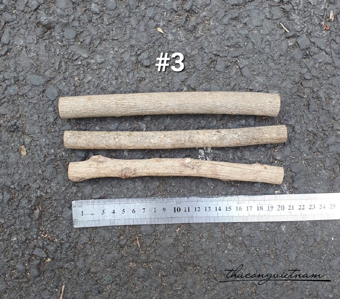 Nhành gỗ tự nhiên 20cm (3 cây)