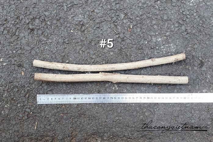 Nhành gỗ tự nhiên 40cm (2 cây)