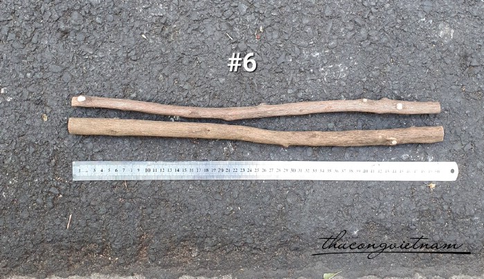 Nhành gỗ tự nhiên 50cm (2 cây)