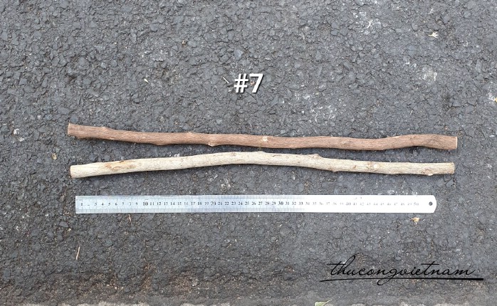 Nhành gỗ tự nhiên 60cm (2 cây)