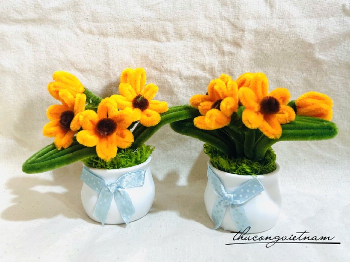 Chậu hoa kẽ nhung (mẫu ngẫu nhiên)