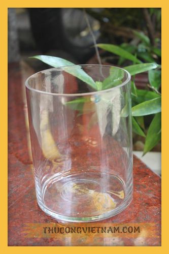 Lọ thuỷ tinh trụ S11