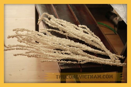 Cành dẻo trắng hạt tuyết_CD01