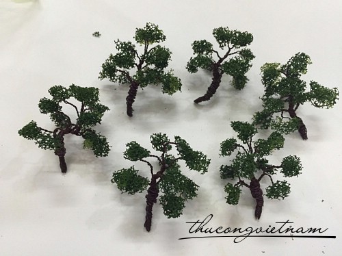 CMH14 Cây bonsai