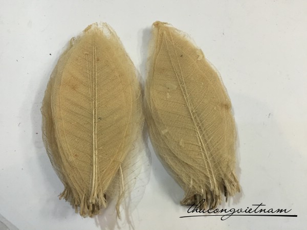 Gân lá khô tự nhiên
