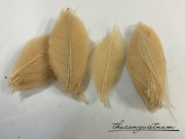 Gân lá khô tự nhiên nhỏ