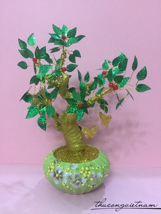 Cây kim tiền lá xanh