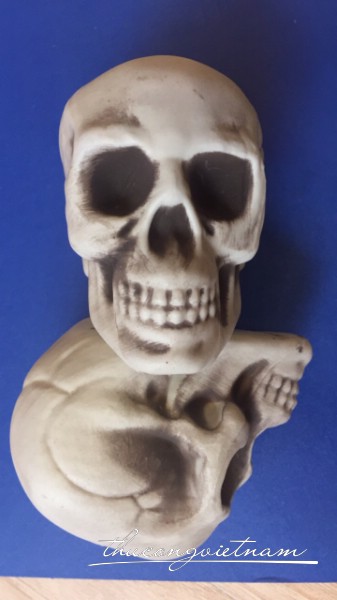 Đầu lâu 11x9x8cm