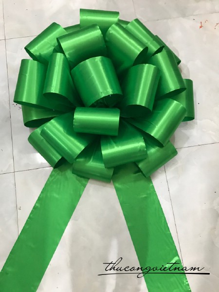 Nơ xe hơi mẫu 10