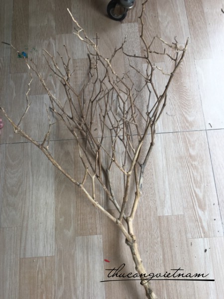 Củi khô trang trí
