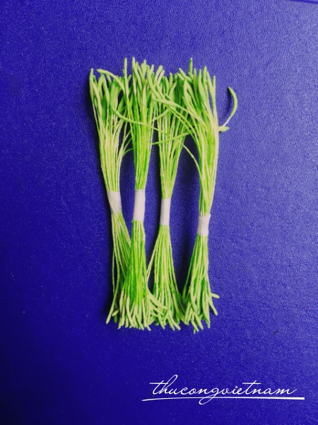 Nhụy dài màu xanh lá cành xanh lá