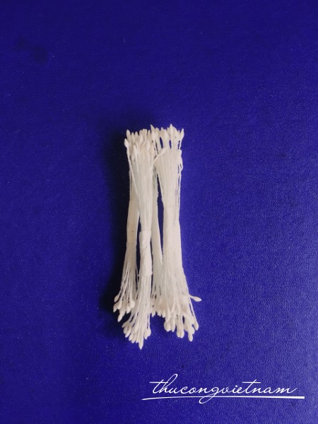 Nhụy bột màu trắng