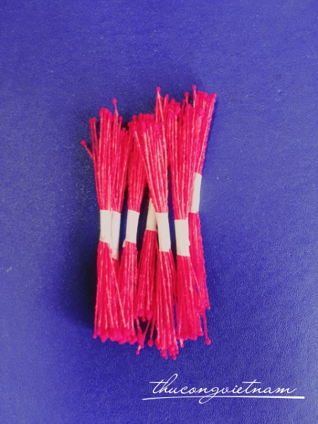 Nhụy tăm màu đỏ cành đỏ