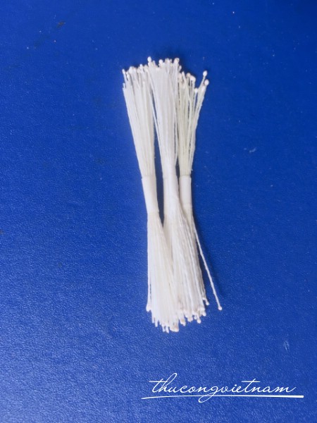 Nhụy tăm màu trắng