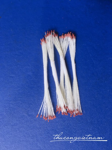 Nhụy tăm màu nâu cành trắng