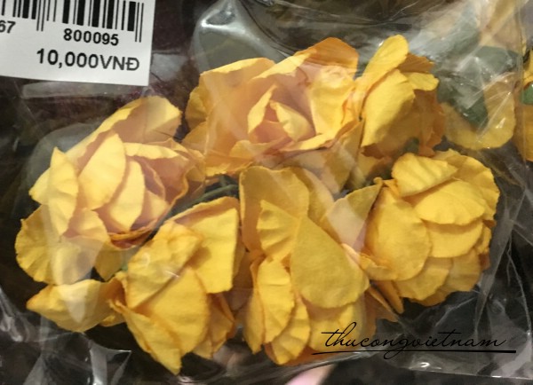 Hoa hồng giấy thái màu vàng