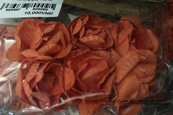 Hoa hồng giấy thái màu cam