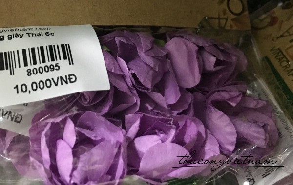 Hoa hồng giấy thái màu tím