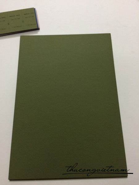 TV240_260gsm Xanh rêu có vân dày 7k